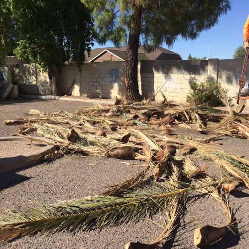 Strom Debris Removal Services